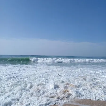 Apartmán A 150 M De L'ocean Et Proche Du Golf Moliets-plage *